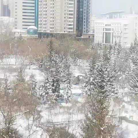 下雪啦