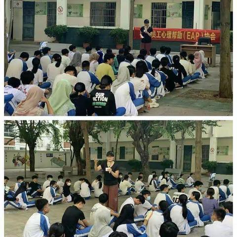 天涯区社会心理服务系列活动拉开帷幕