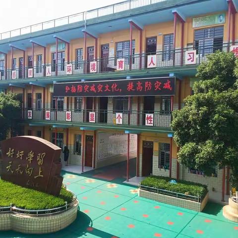 夏树苍翠 学子归来——鲁阳第一小学全面复学