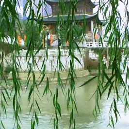 夏日闲吟六十律/永昌居士