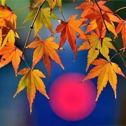 【永昌居士诗词】壬寅年第五辑（88首）