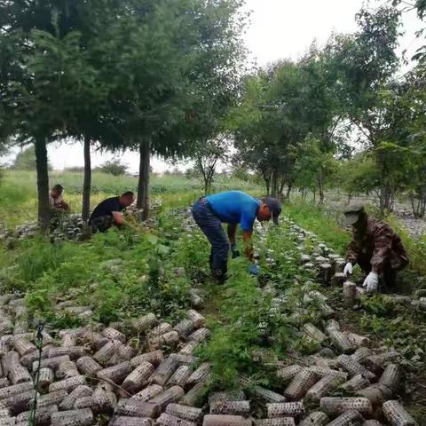 党员心系受灾群众，困难时刻彰显党性