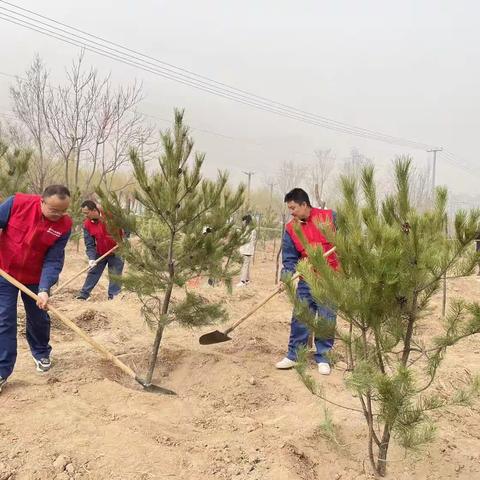 运检分公司联手属地政府打造绿色线路