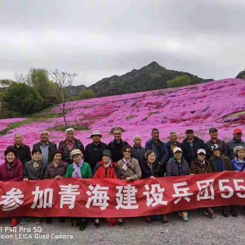 致烟台知青赴青海建设兵团55周年