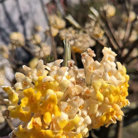 冬去春来，鸟🐤来花开（火箭三班第一周周报）