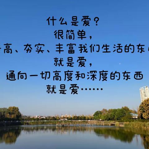 第三单元分数乘法（北师大版数学）