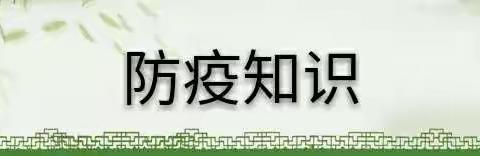 “宅”家“宅”出快乐，“宅”出健康——丁溪幼儿园居家活动指南(十一）