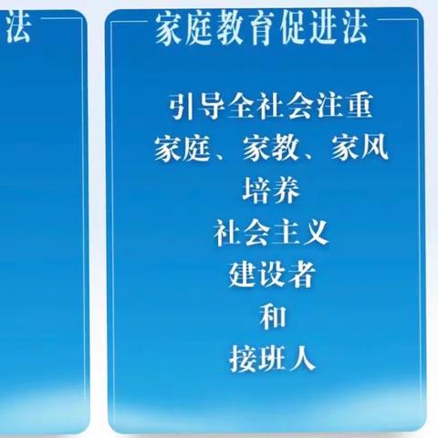 田庄镇中心小学开展“把爱带回家——送法到家，让孩子健康成长”系列活动