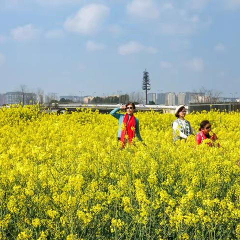 春暖花开