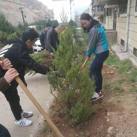 温暖在南市，满意市场沟——春分十里，不如植树有你