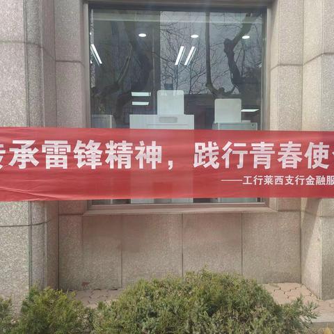 莱西支行团委组织开展雷锋月金融服务活动