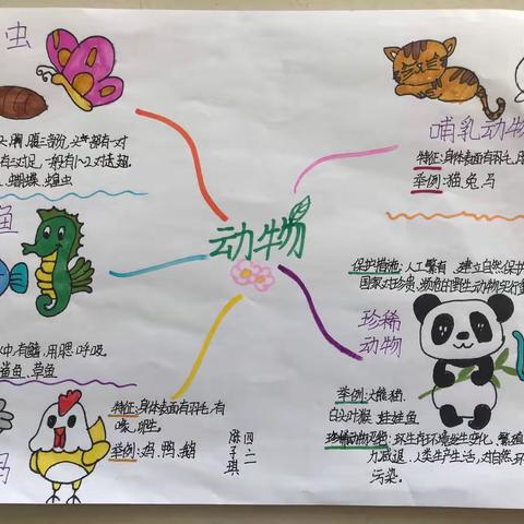 绘科学思维导图 知科学重点知识——龙池小学四年级科学第一单元优秀思维导图展示