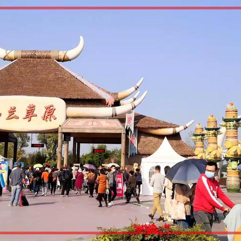 金秋结伴散心  漫游木兰草原