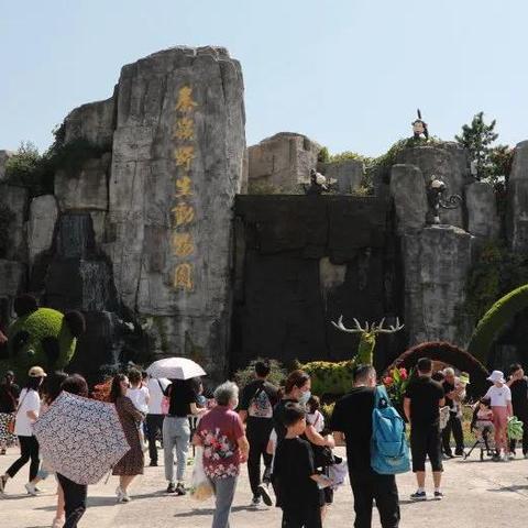 【西旅集团】秋高气爽 风景怡人｜恢复开园后的第一个周末，快乐又回来了!