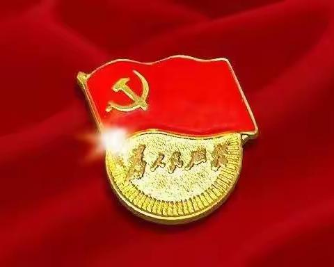 【西旅集团】让党徽闪亮在夜色中