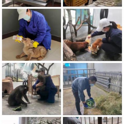 【西旅集团】坚守是一种责任