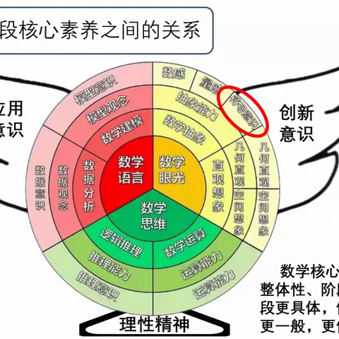 10月28日符号意识、运算能力解读