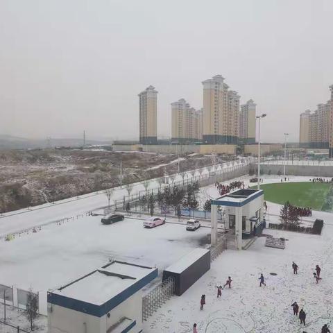 铲冰除雪，情溢校园