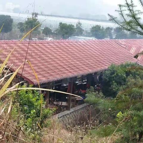 禅农庄园野炊忙，风过遥闻野饭香———新田中学教工冬日户外拓展活动