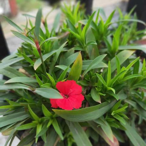 规律生活 健康常伴👉👉