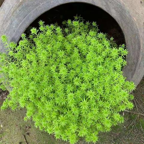 致萌宝们的一封信