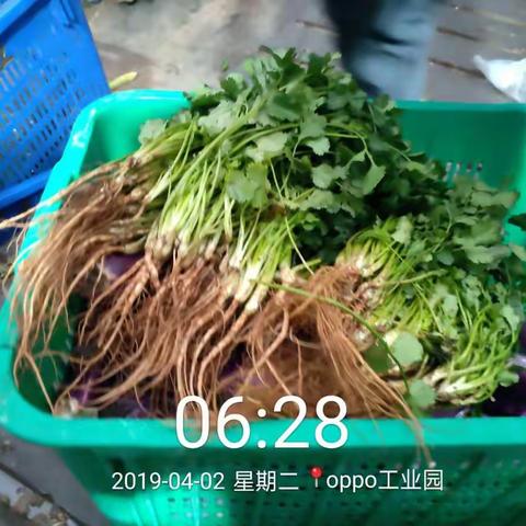 OPPO 需要改善的产品