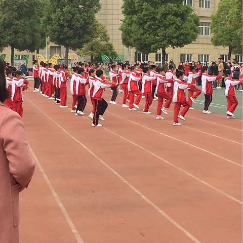 南阳市第十五小学校东校区四二班第十八届春季运动会掠影