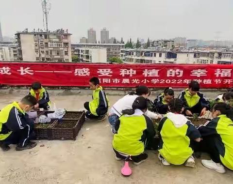 晨光小学“劳动美-种植节”启动啦！