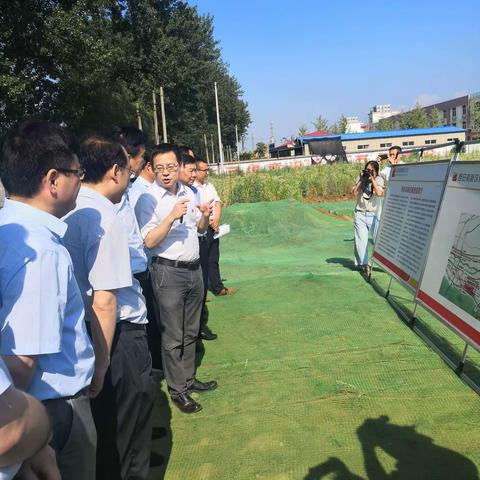 中共太仓市委书记沈觅一行来集贤园调研