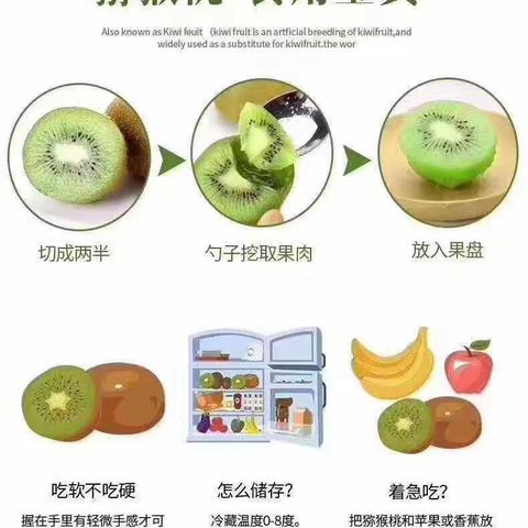 周至猕猴桃