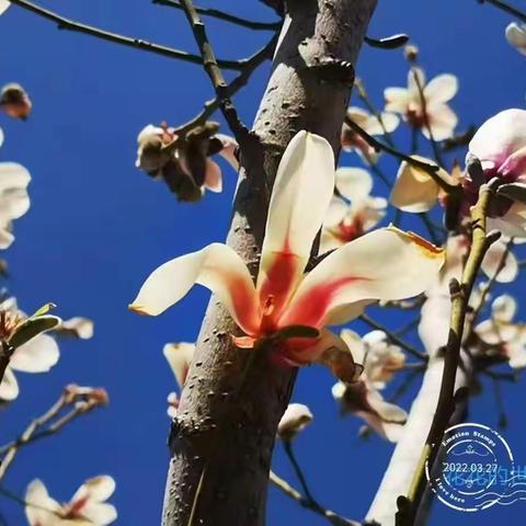 用心用情为育人   无悔奉献谱新篇