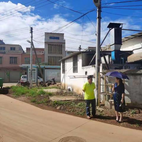 现场察看预开挖路段