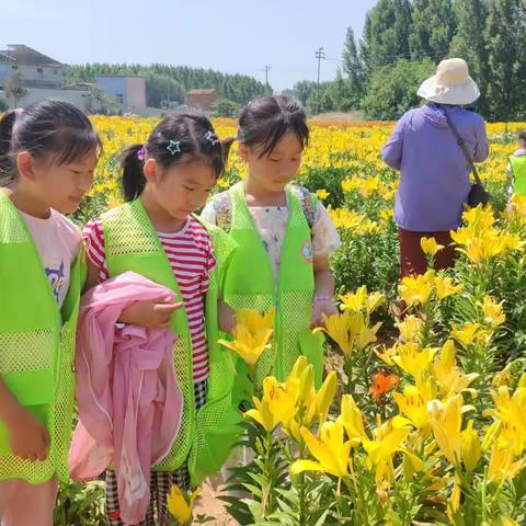 端午节未保协会活动纪实