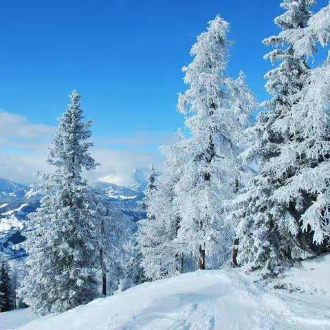 冬天的雪（图片来自网络）