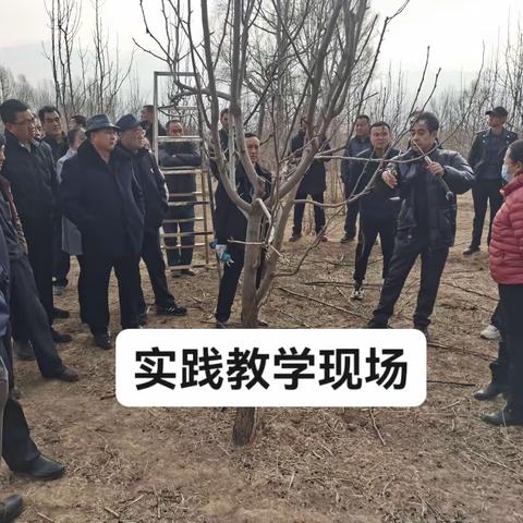 人勤春早气象新   果园修剪正当时