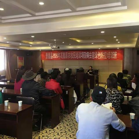 病虫害绿色防控促进农作物安全生产