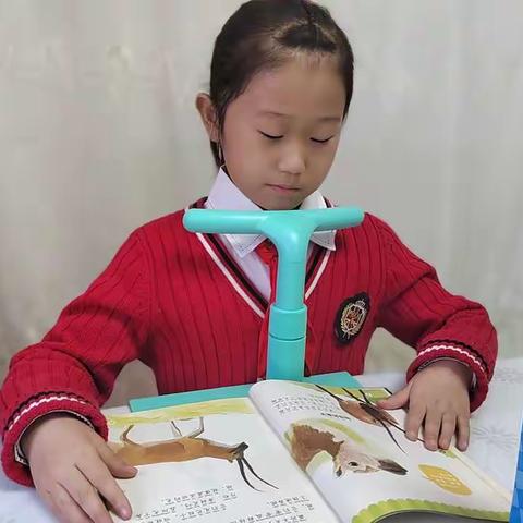 让读书成为习惯，让生活溢满书香——调兵山市第一小学一年四班姜芸梓萱读书活动