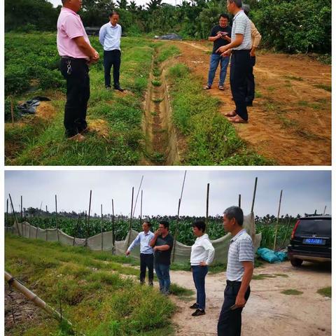 扎实推进2022高标准农田项目高质量建设