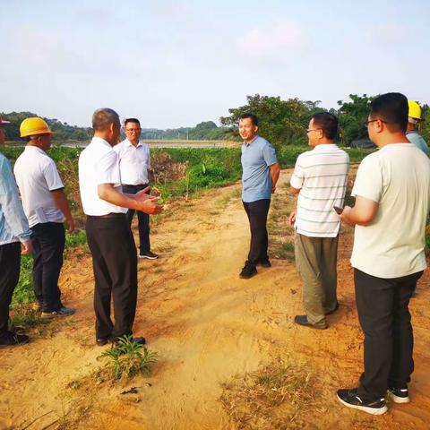 省厅农田建设管理处到文昌市调研指导2022年高标准农田建设项目暨推进“藏粮于地”工作