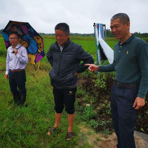 文昌市加强农作物生产技术指导—暨“藏粮于技”农技助推乡村振兴工作