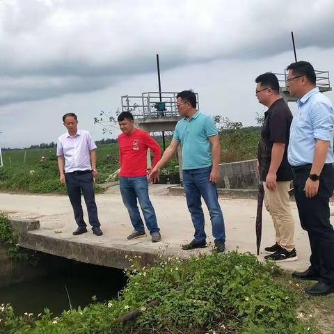 深入摸底高标准农田工作 推动农田建设高质量发展—文昌市农技中心为民办实事