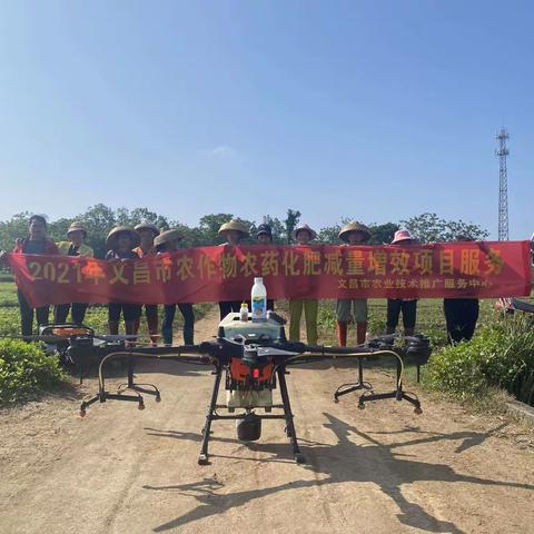 文昌市农技中心为民办实事—深入各镇开展植保飞防水稻病虫害，保障粮食稳产增收