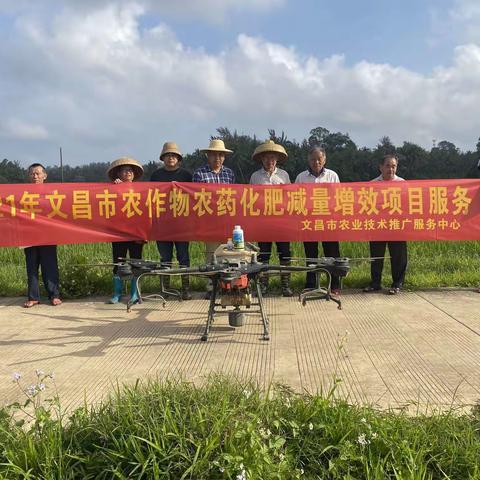 文昌市农技中心为民办实事暨“能力提升建设”—开展水稻病虫害统防统治专业化服务工作