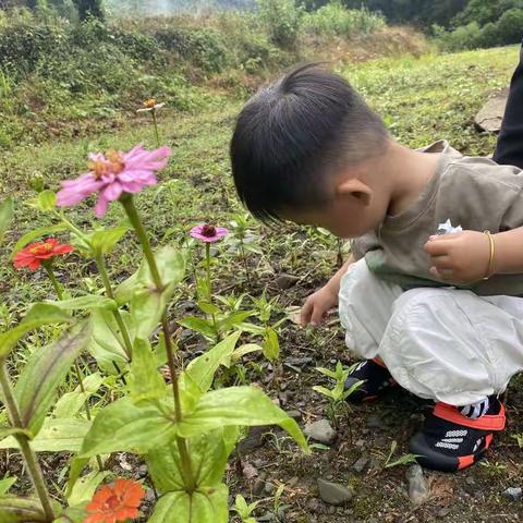 辛丑夏月，端午牯牛降之行