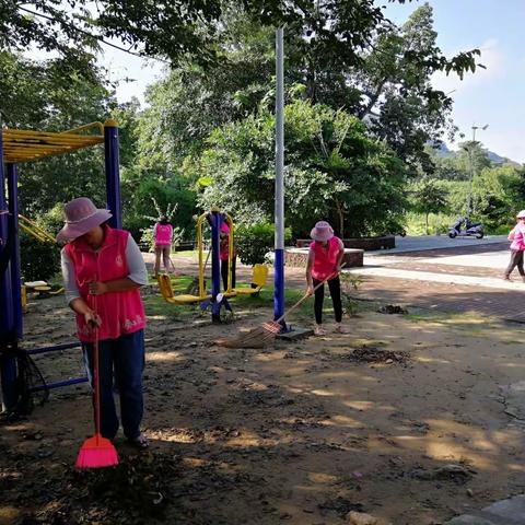 阜龙乡开展主题党日暨巾帼志愿服务活动