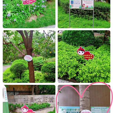 电子城街道裕昌太阳城社区垃圾分类周报