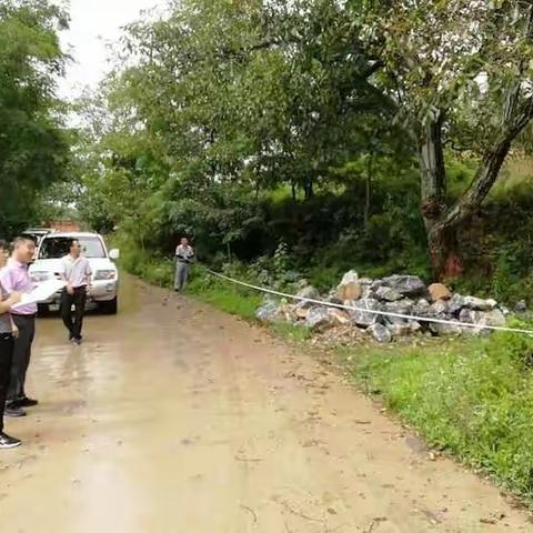 陇南市经济林研究院核桃研究所核桃测产