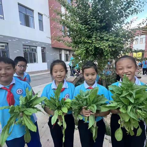 劳动促心智，实践得真知——汇丰学校201班丰收节