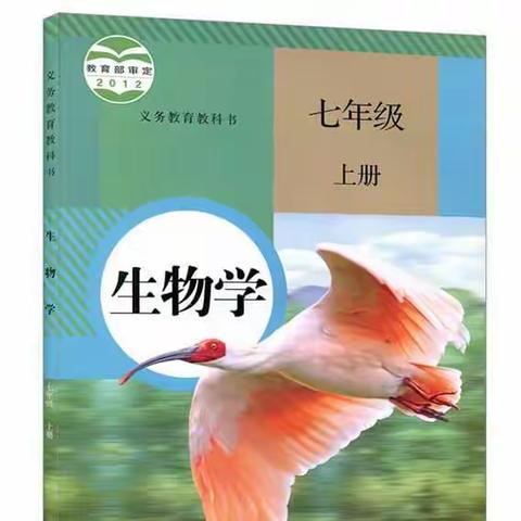 人教版七年级《生物学》上册知识要点整理汇总