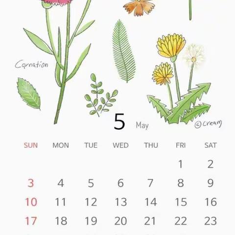 五月，踏歌而行——五月工作小结